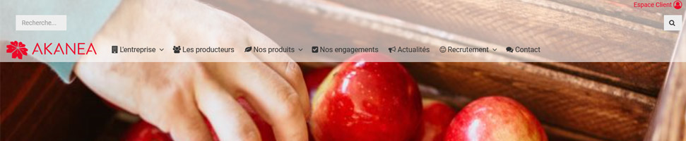 akanea CMS AKANEA CMS