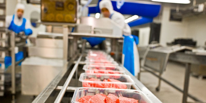 Professionnelle de l’industrie agroalimentaire