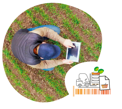 Logiciel agroalimentaire fruits et légumes