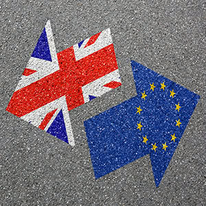 ens-brexit-vignette ENS Brexit
