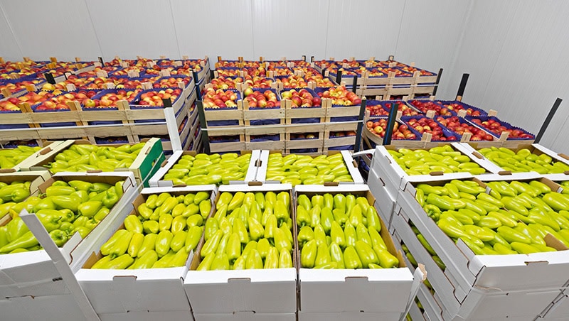 stockage-fruit-legume-illustration Entrepôt de stockage des fruits et légumes