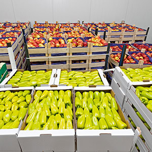 stockage-fruit-legume-vignette Comment optimiser le stockage de fruits et légumes (en 4 étapes) ?