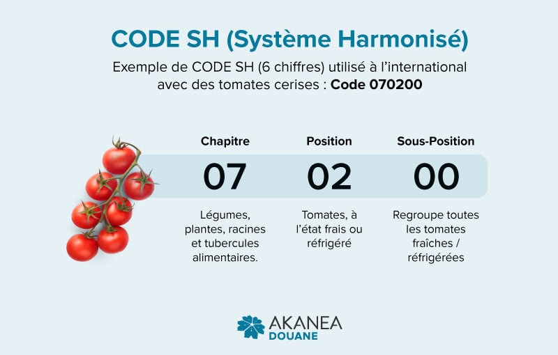code-sh-systeme-harmonise-HS-Code Structure code SH (système harmonisé) - HS code